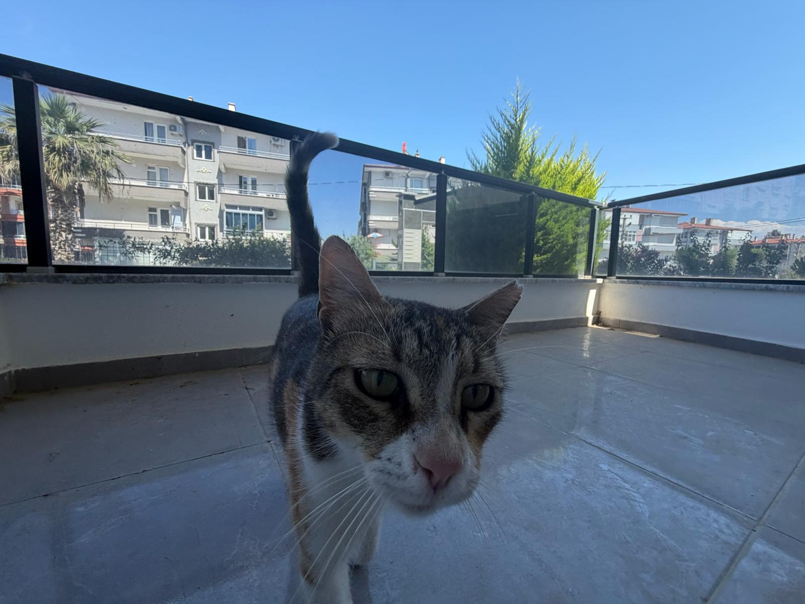 ÖMÜR'DEN ALTINKUMDA GENİŞ METRE KARELİ 1+1 SATILIK DAİRE görsel 2